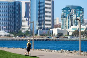 Best Excursions Miami: 7 Amazing Tours You Can’t Miss