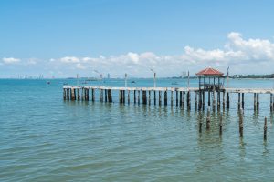 How to Travel from Miami to Islamorada in Comfort: The Benefits of a Private Shuttle