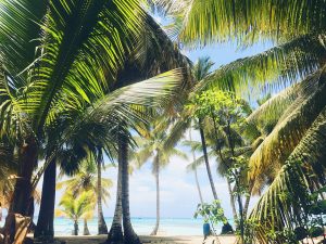 Things to Do in Key West: Why a Private Day Trip From Miami Makes Every Activity Better