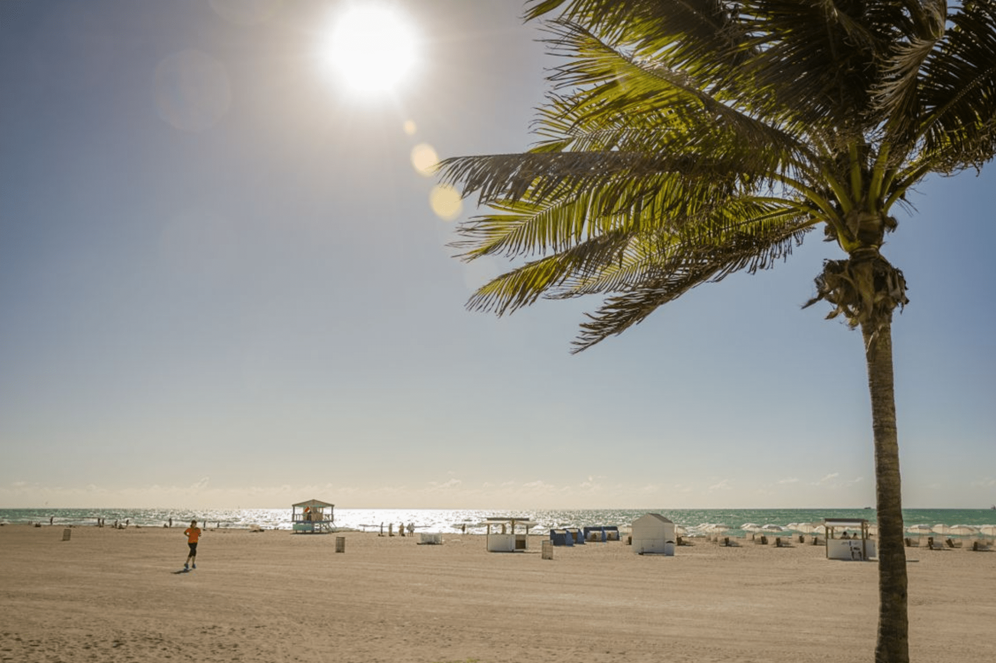 Sunny Miami Beach with palm tree view.