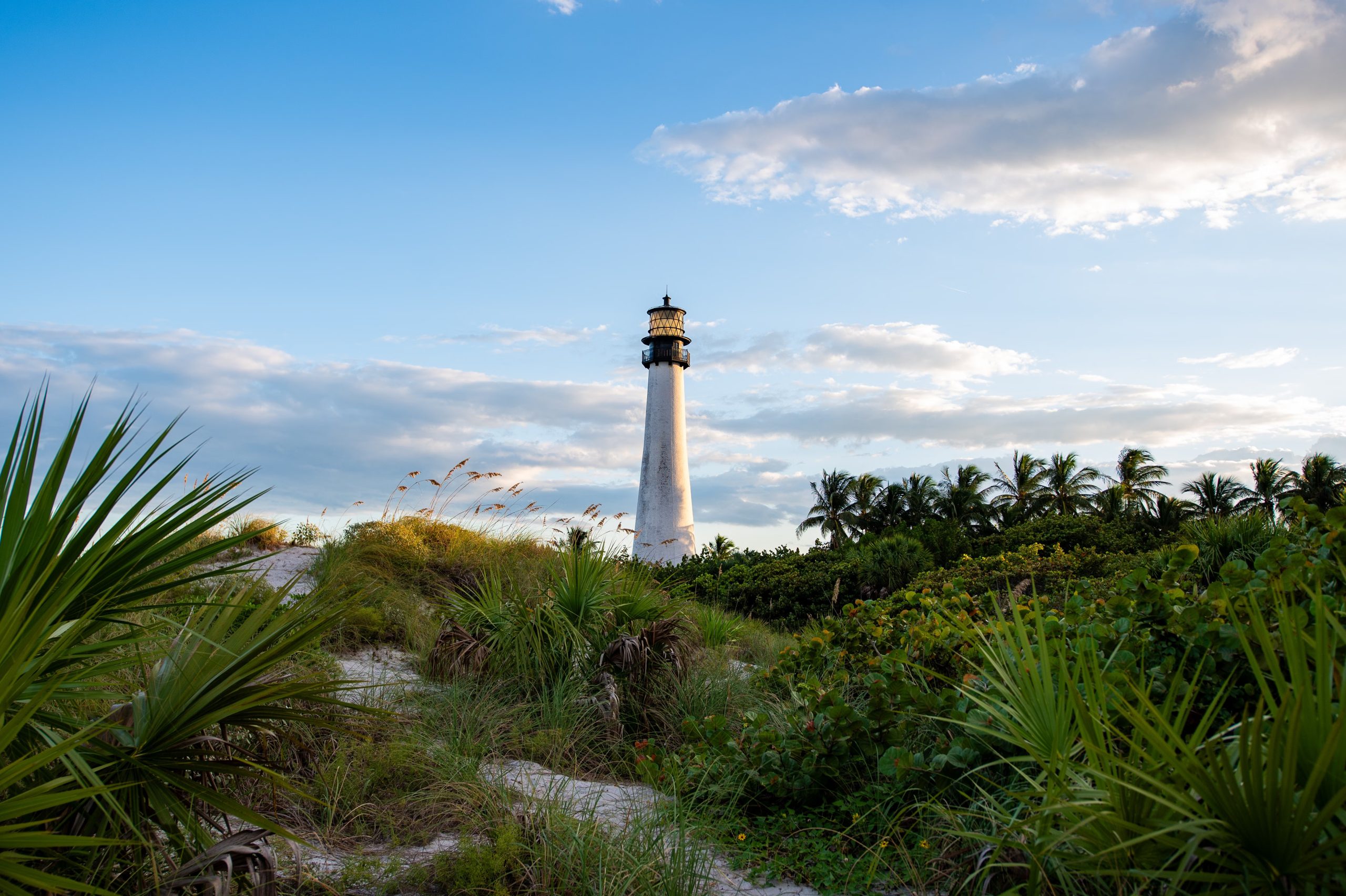 Cape Florida Lighthouse surrounded by tropical vegetation at Bill Baggs Cape Florida State Park