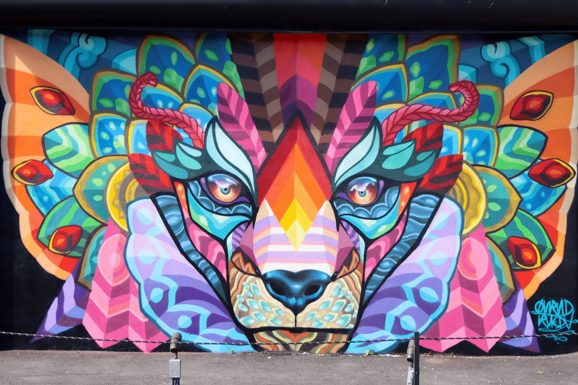 Colorful animal mural showcasing the vibrant street art and murals of Wynwood Miami.