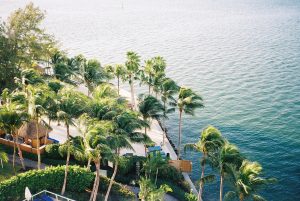 Things to Do in Coconut Grove Miami: 13 Amazing Stops