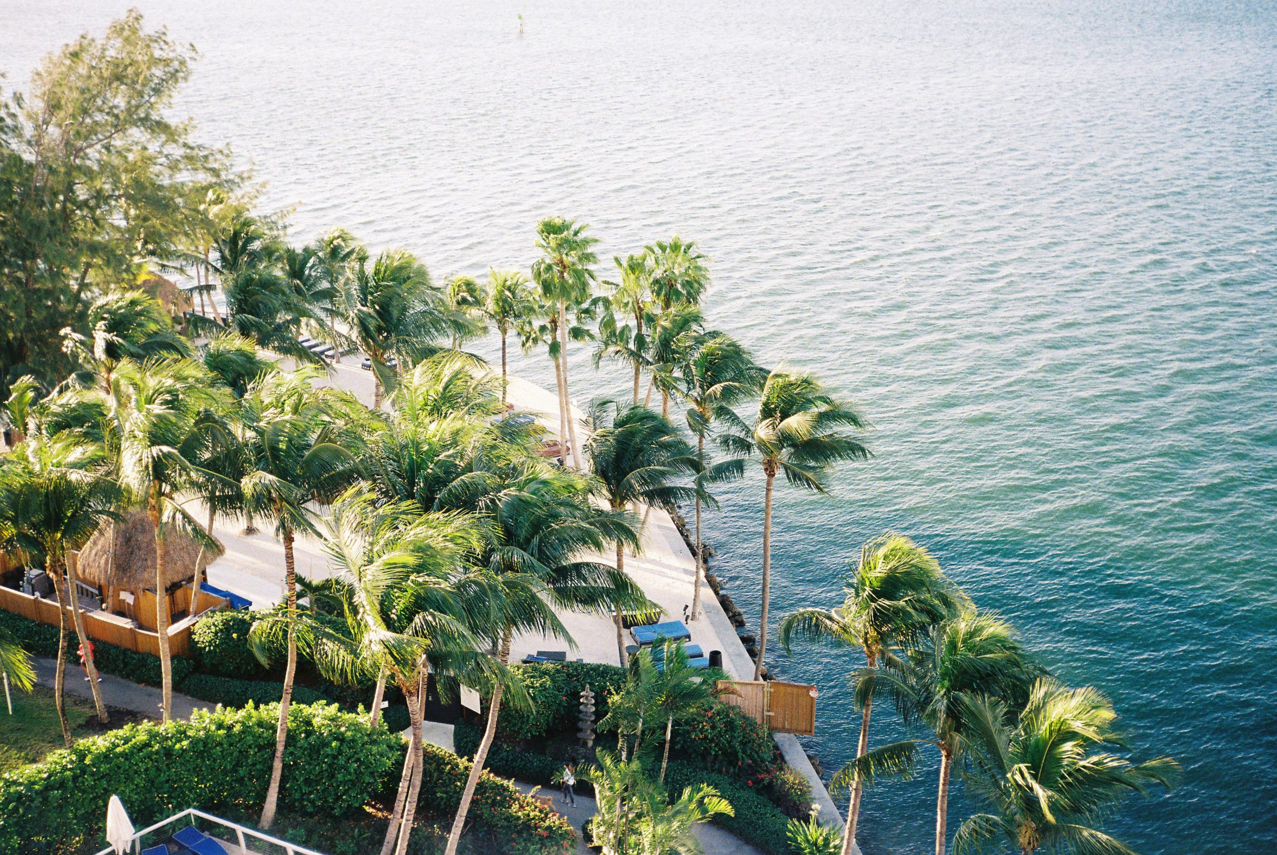 Palm-lined waterfront in Miami with tropical landscaping