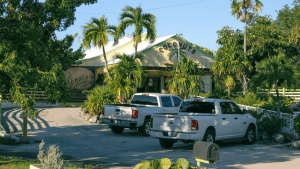 Coconuts restaurant surrounded by palm trees in Islamorada, Florida