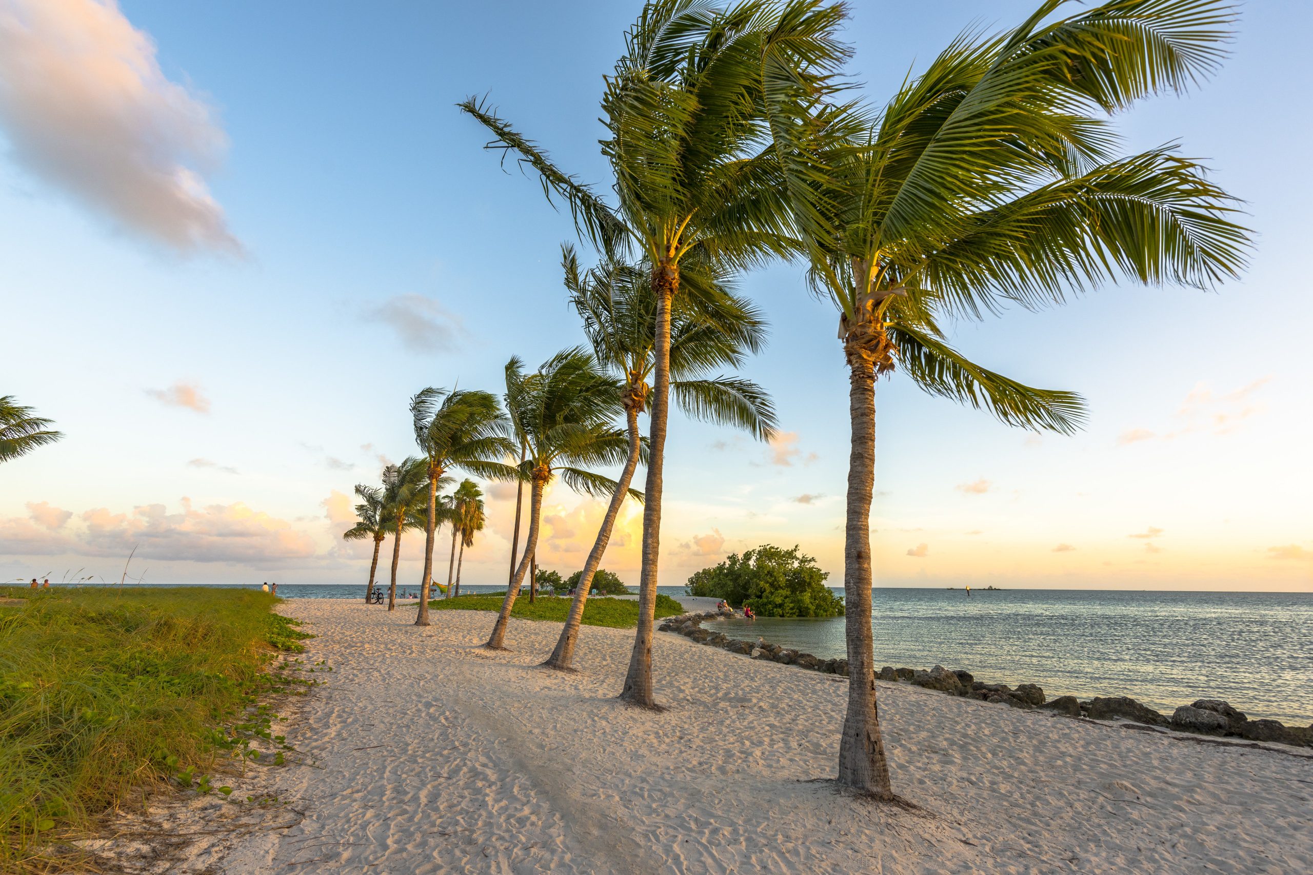 Tropical sandy beach with palm trees and calm ocean waters in South Florida.