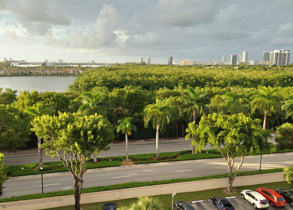 Elevated view of a palm tree canopy along a roadway leading toward a distant city of Aventura skyline.