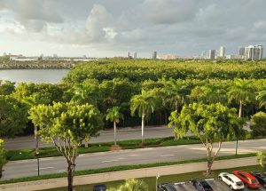15 Amazing Things to Do in Aventura, FL You’ll Love