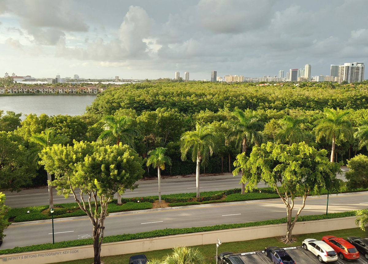 Elevated view of a palm tree canopy along a roadway leading toward a distant city of Aventura skyline.